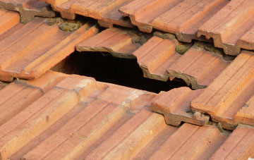 roof repair Cockshoot, Herefordshire
